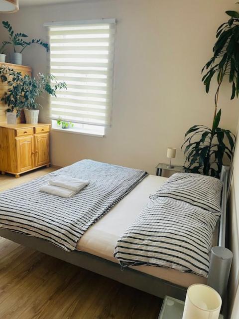 Apartman Lucian Praag Buitenkant foto